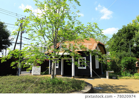 A先生的花園龍貓的家 78020974