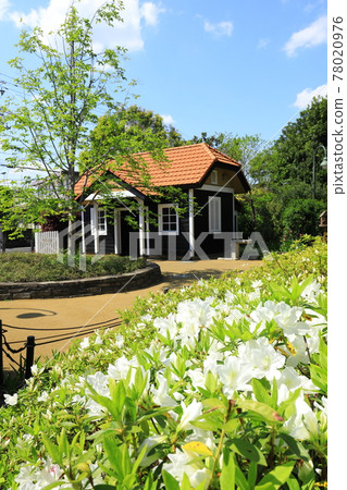 A先生的花園龍貓的家 78020976