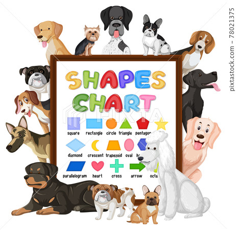 Shapes chart board with many cute dogs Shapes chart board with many cute dogs 78021375