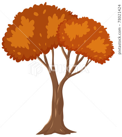 Isolated autumn tree on white background 78021424
