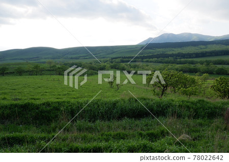 Kuju meadow Kuju meadow 78022642