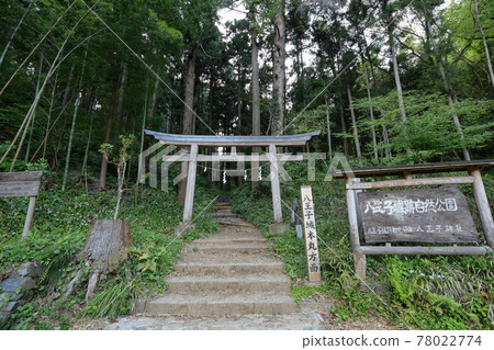 Hachioji City, Tokyo Hachioji Castle Ruins Mountain Road to Honmaru Hachioji City, Tokyo Hachioji Castle Ruins Mountain Road to Honmaru 78022774