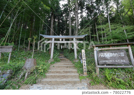Hachioji City, Tokyo Hachioji Castle Ruins Mountain Road to Honmaru Hachioji City, Tokyo Hachioji Castle Ruins Mountain Road to Honmaru 78022776