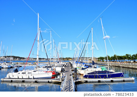 Yachts anchored at Enoshima Yacht Harbor Yachts anchored at Enoshima Yacht Harbor 78023433