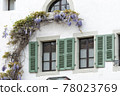 Blossoming wistaria branch in spring on a house in old city of Nyon, canton of Vaud in Switzerland 78023769