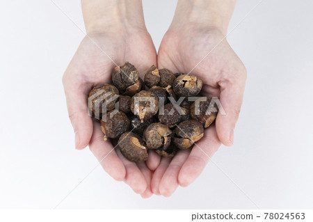 Zero waste - two hands holding an environmentally friendly detergent soap nut 78024563