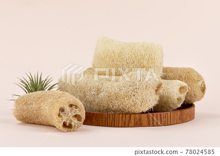 natural loofah, Zero Waste concept natural loofah, Zero Waste concept 78024585