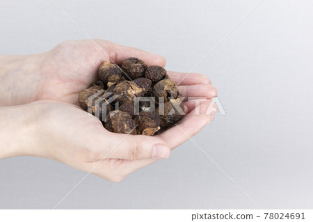 Zero waste - two hands holding an environmentally friendly detergent soap nut 78024691