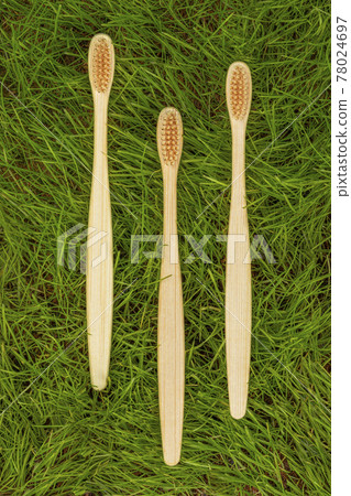 Zero waste - environmentally friendly bamboo toothbrush lying on the grass Zero waste - environmentally friendly bamboo toothbrush lying on the grass 78024697