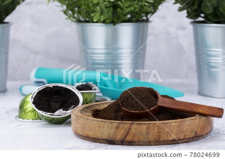 recycling coffee to plants 78024699