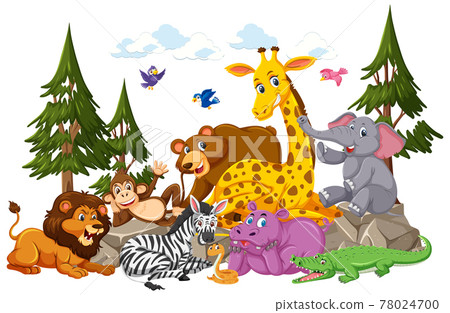 Wild animal group cartoon character on white background Wild animal group cartoon character on white background 78024700