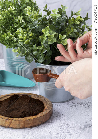 recycling coffee to plants 78024719