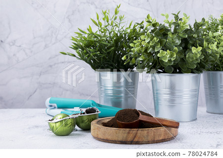 recycling coffee - wood spoon, wood bowl and capsule coffee 78024784