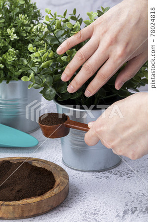 recycling coffee to plants 78024818