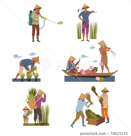 Asian Farmers in Straw Conical Hat Working on Field Vector Set 78025235