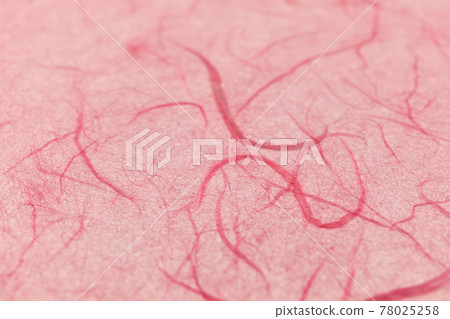 雲龍紙、日本紙、前後模糊 78025258