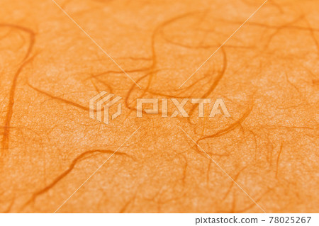 雲龍紙、日本紙、前後模糊 78025267