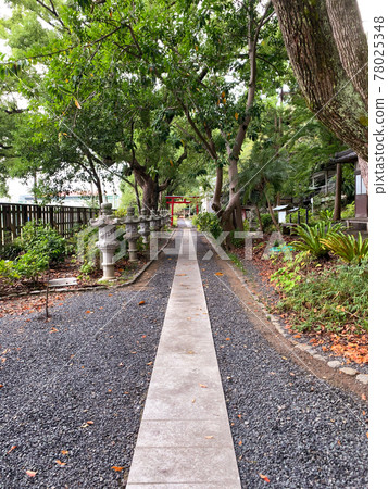 Shirahama Kanki Shrine Shirahama Museum Shirahama Kanki Shrine Shirahama Museum 78025348