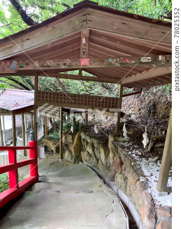 白浜神社 白浜博物館 白浜神社 白浜博物館 78025352