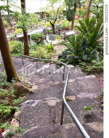 白浜神社 白浜博物館 白浜神社 白浜博物館 78025354