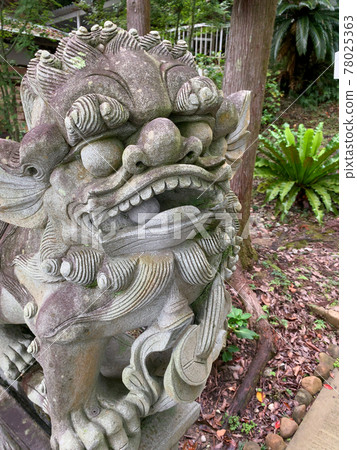 白浜神社 白浜博物館 78025363