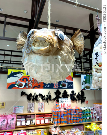 Shirahama Toretore Market Shirahama Toretore Market 78026125