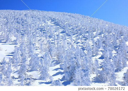 Rime trees of Zao, Yamagata Prefecture Rime trees of Zao, Yamagata Prefecture 78026172