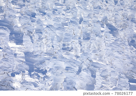 Rime trees of Zao, Yamagata Prefecture Rime trees of Zao, Yamagata Prefecture 78026177