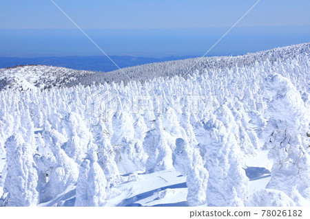 山形縣藏王樹冰 山形縣藏王樹冰 78026182