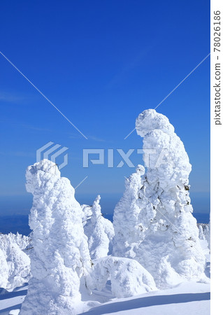 Rime trees of Zao, Yamagata Prefecture Rime trees of Zao, Yamagata Prefecture 78026186