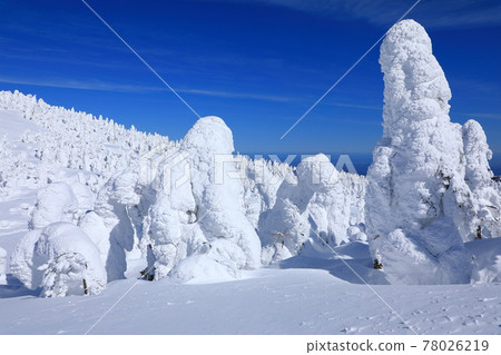 山形縣藏王樹冰 78026219