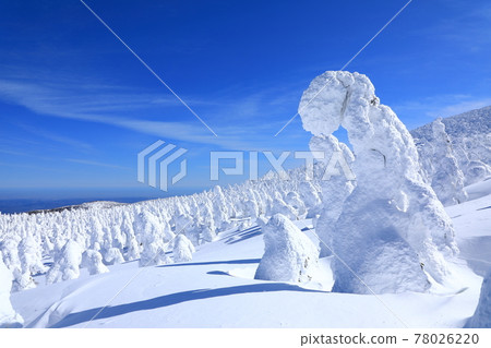 山形縣藏王樹冰 山形縣藏王樹冰 78026220