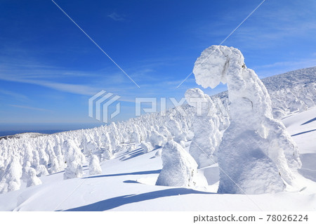 Rime trees of Zao, Yamagata Prefecture Rime trees of Zao, Yamagata Prefecture 78026224
