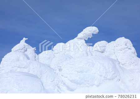 山形縣藏王樹冰 山形縣藏王樹冰 78026231