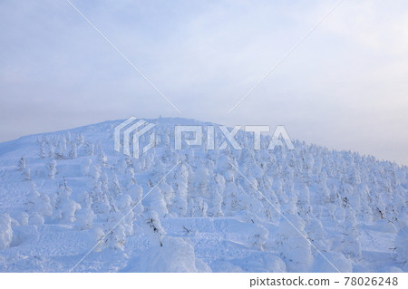 Rime trees of Zao, Yamagata Prefecture 78026248
