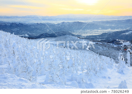 Rime trees of Zao, Yamagata Prefecture Rime trees of Zao, Yamagata Prefecture 78026249