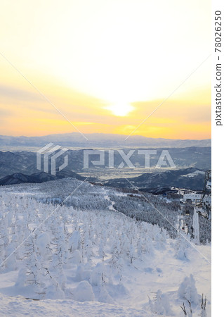 Rime trees of Zao, Yamagata Prefecture Rime trees of Zao, Yamagata Prefecture 78026250