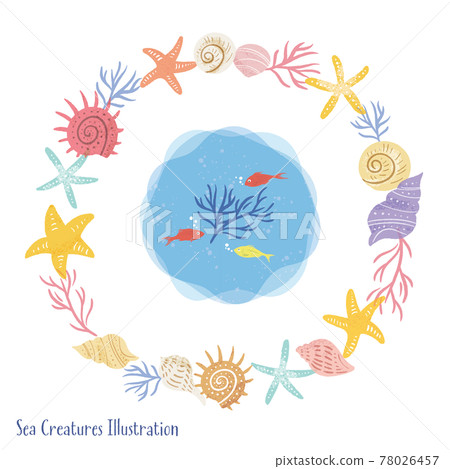 Hand-drawn illustration of seashell / circle frame Hand-drawn illustration of seashell / circle frame 78026457