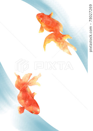 金魚手繪水彩 78027269
