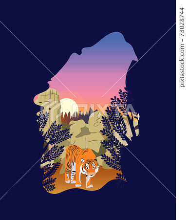 International tiger day. July 29. Tiger near a rock. Striped predator. Bengal tiger.  78028744