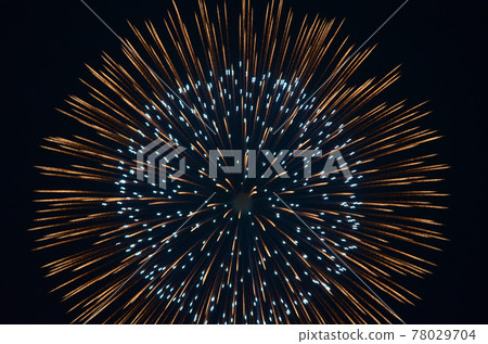 Yaizu Maritime Fireworks (No. 10) 160814 pm 7:38 78029704