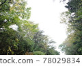 Aokigahara Forest 78029834