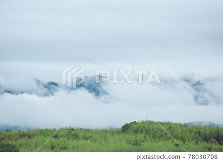 雨後的竹林與山巒 雨後的竹林與山巒 78030708