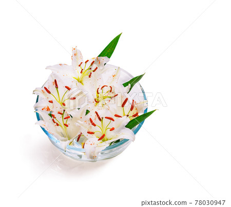 white lily in a bowl of water, spa concept 78030947