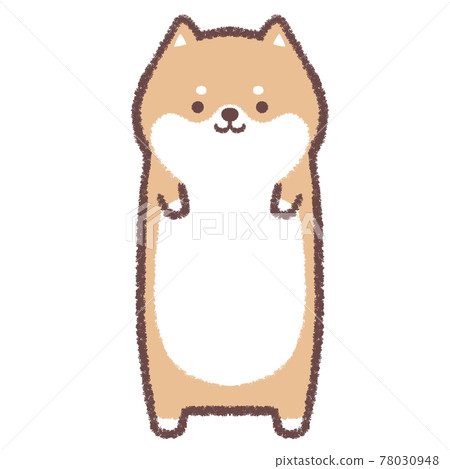 Shiba Inu strip Shiba Inu strip 78030948