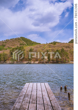 Kanazaki Lake early summer 78031306