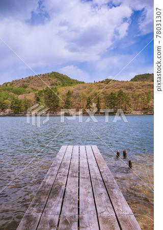 Kanazaki Lake early summer 78031307