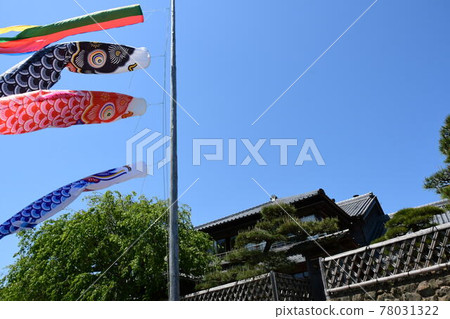 Carp streamer and Akafuku main store 78031322