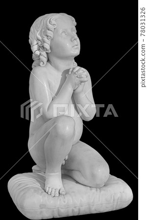 Angel wings isolated on black background with copyspace. Statue of cherub wing close-up 78031326