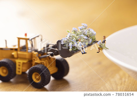 男子在輪式裝載機鏟斗中給予和接受大量 Myosotis arvensis 花 78031654